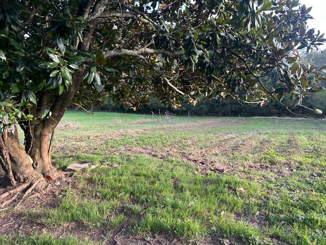 CASONA MONTAÑESA EN CANTABRIA