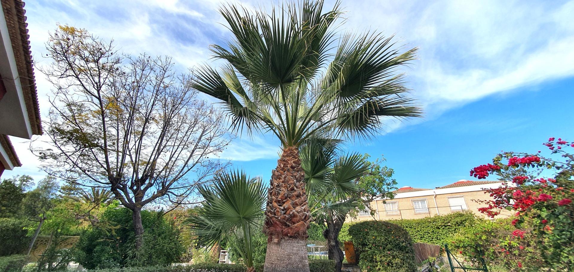 Magnífico chalet independiente en venta en La Font con parcela de 2812 metros