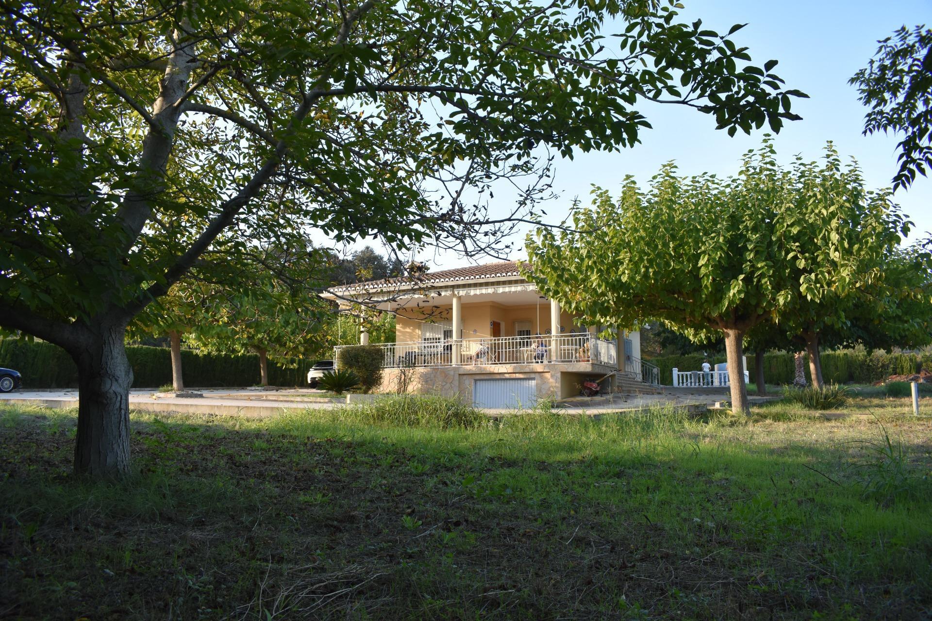 Casas o chalets-Venta-XÃ tiva-1993942-Foto-3
