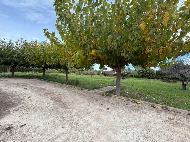Casas o chalets-Venta-XÃ tiva-1993942-Foto-6
