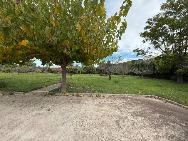 Casas o chalets-Venta-XÃ tiva-1993942-Foto-8