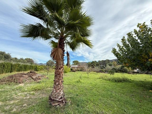Casas o chalets-Venta-XÃ tiva-1993942-Foto-14