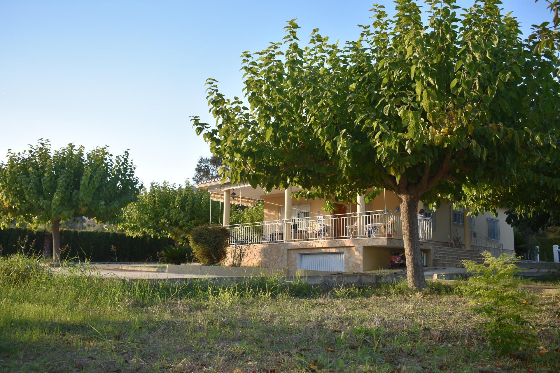 Casas o chalets-Venta-XÃ tiva-1993942-Foto-13