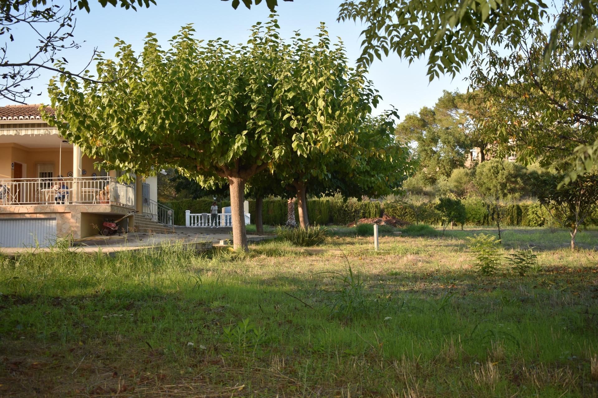 Casas o chalets-Venta-XÃ tiva-1993942-Foto-17
