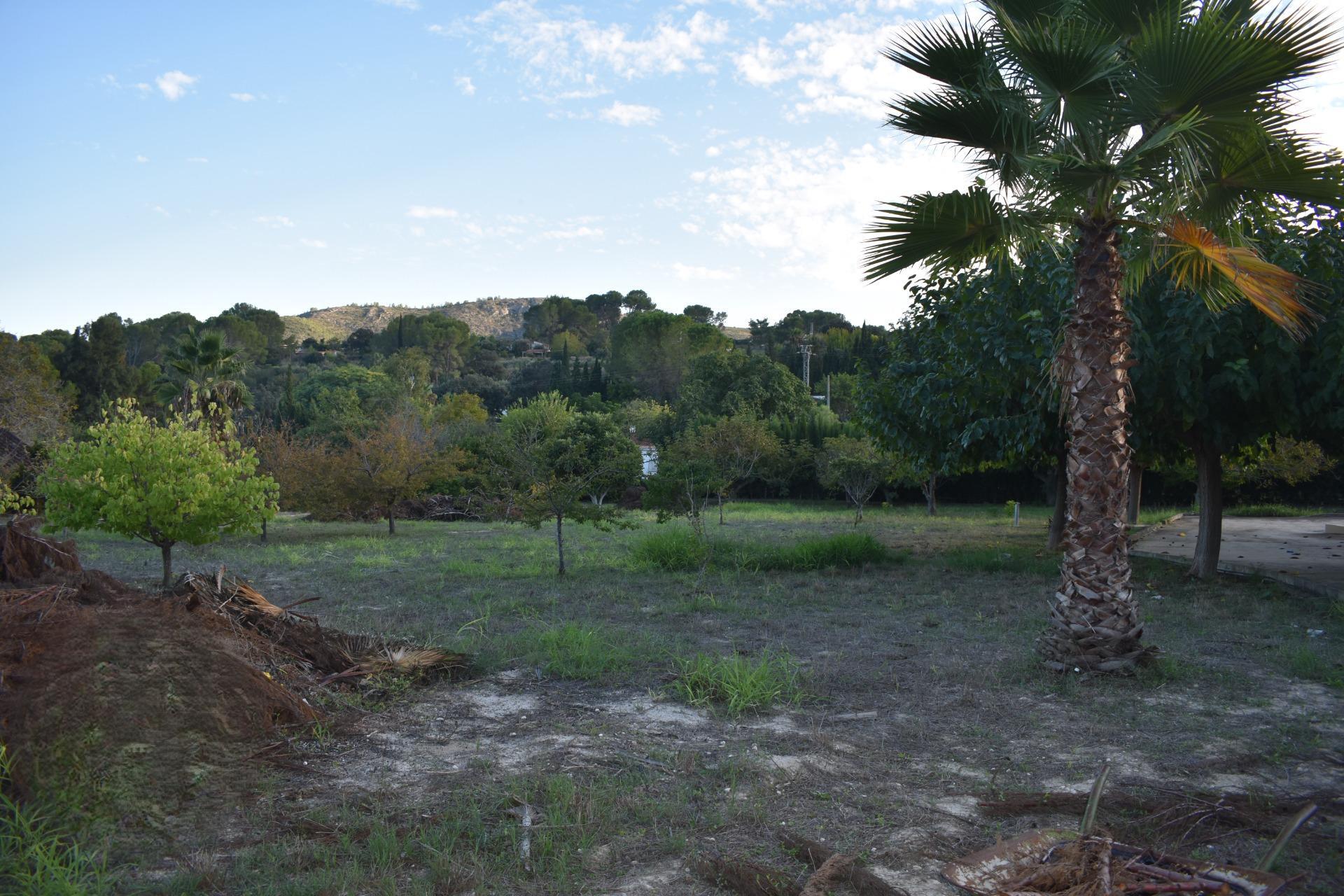 Casas o chalets-Venta-XÃ tiva-1993942-Foto-31