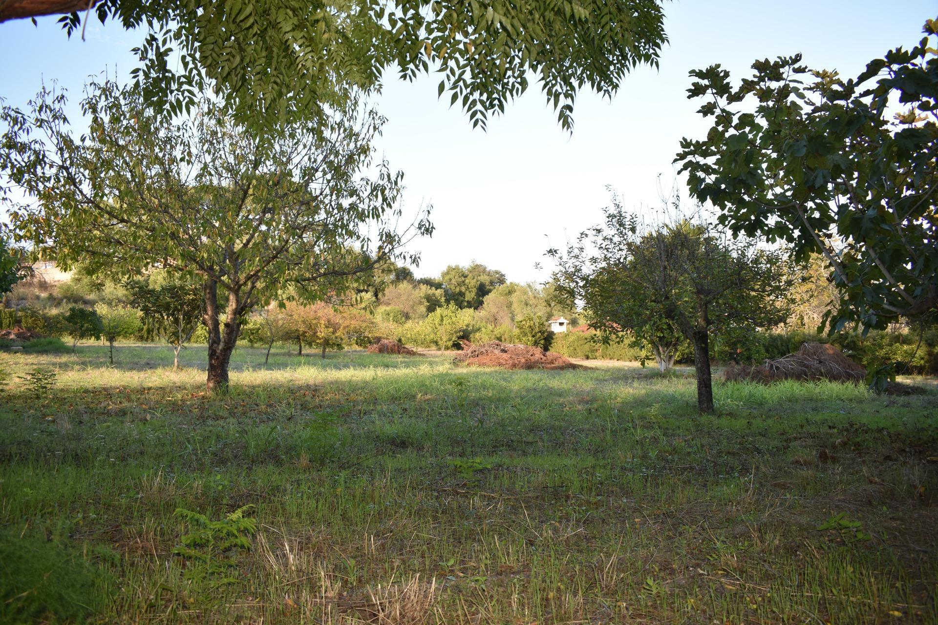 Casas o chalets-Venta-XÃ tiva-1993942-Foto-32