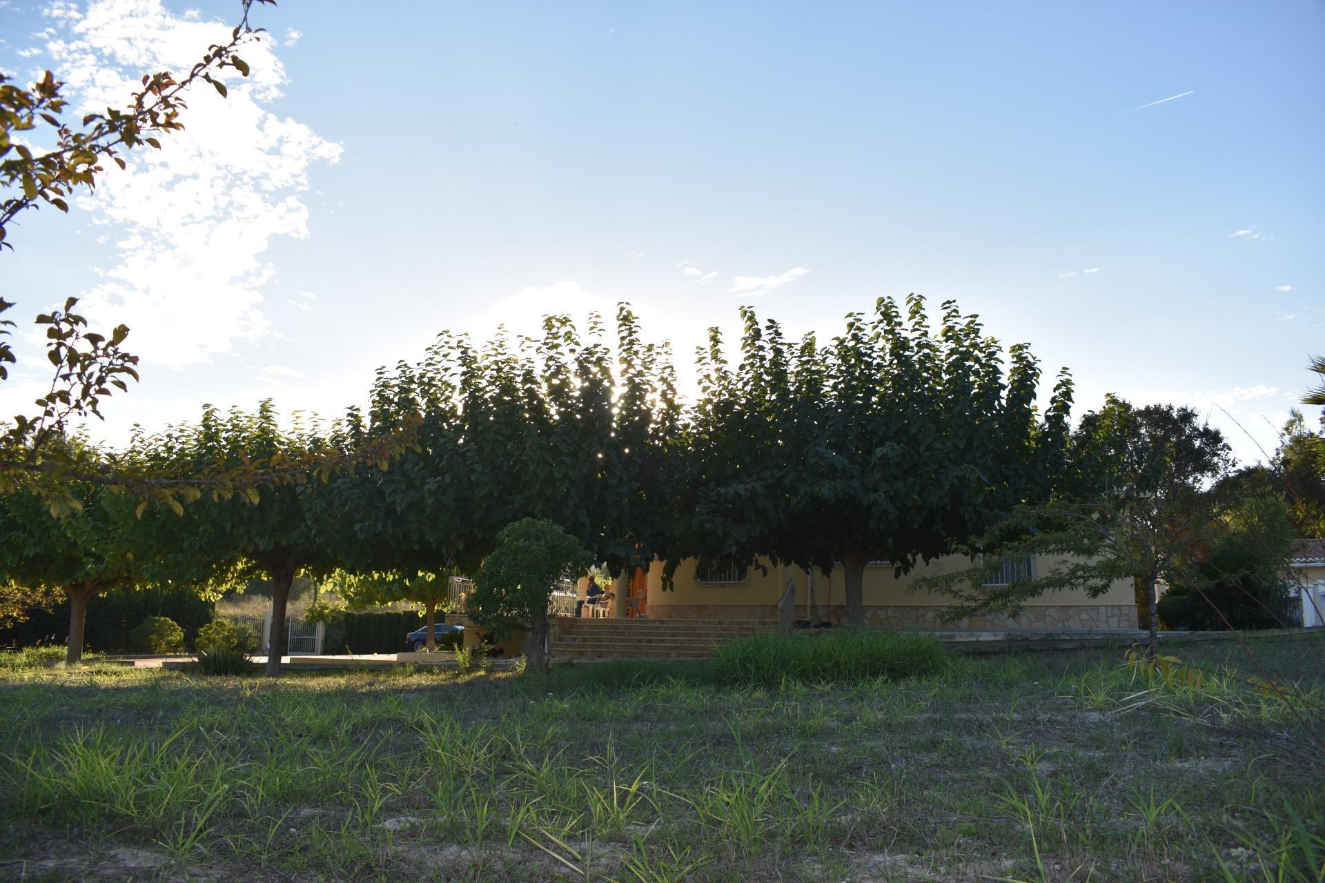 Casas o chalets-Venta-XÃ tiva-1993942-Foto-35