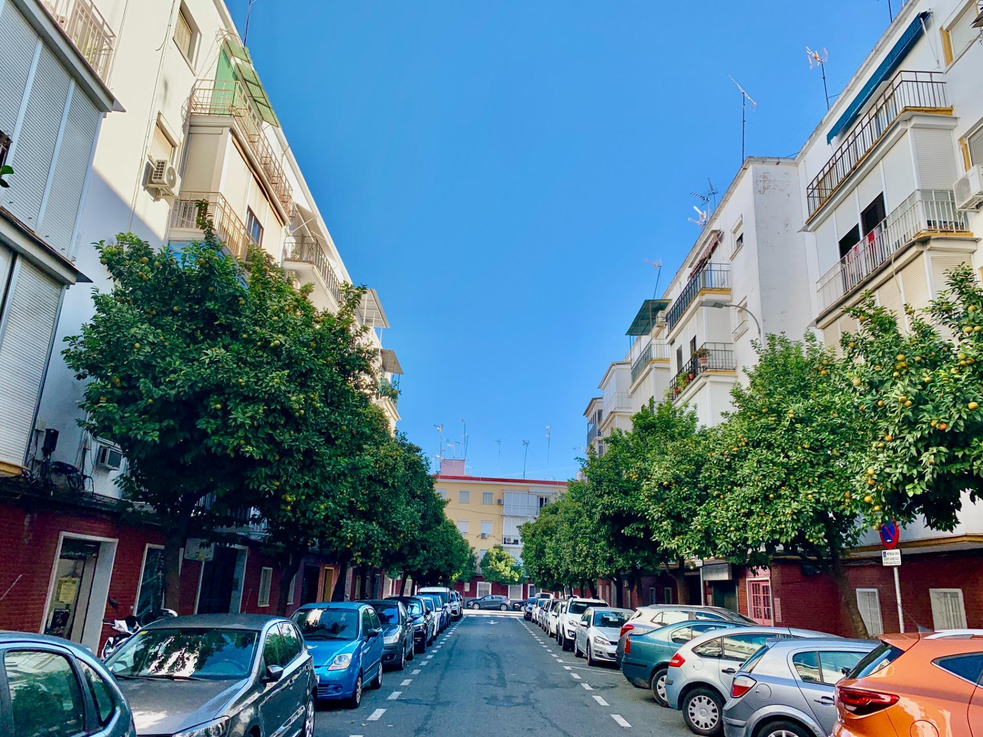 Pisos-Venta-Burguillos-1992447