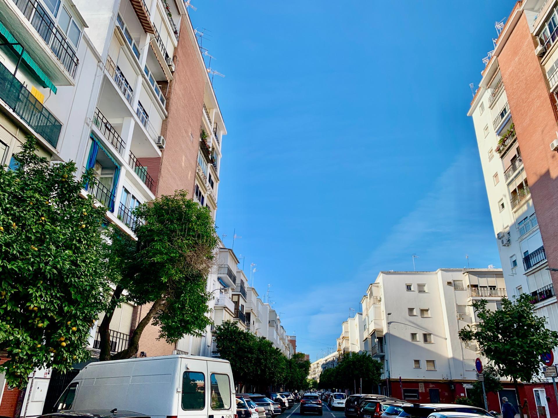 Pisos-Venta-Burguillos-1992447-Foto-2