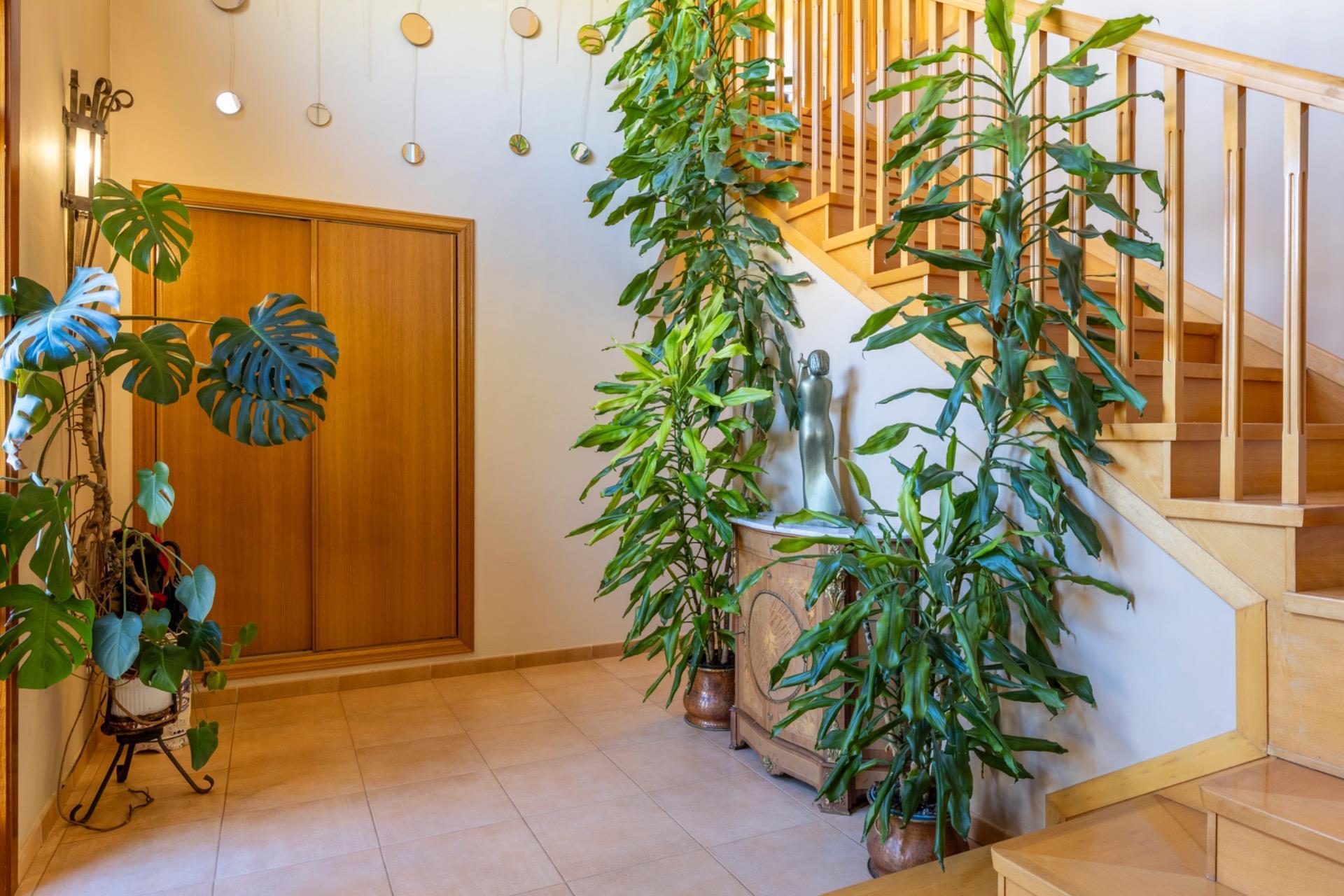 Casas o chalets-Venta-Valladolid-1583632-Foto-2