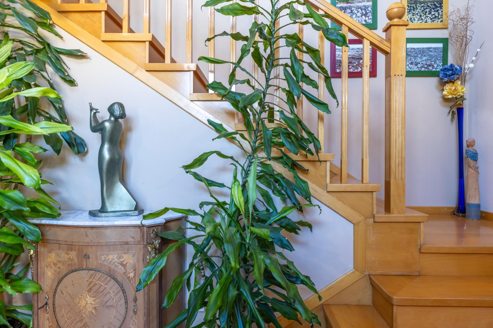 Casas o chalets-Venta-Valladolid-1583632-Foto-3