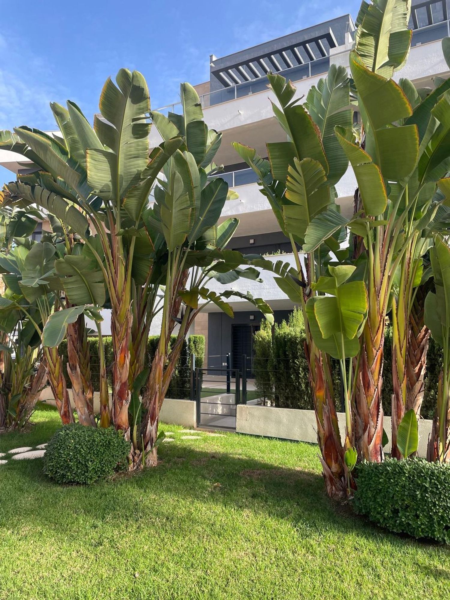 Pisos-Venta-Orihuela-1680498-Foto-37