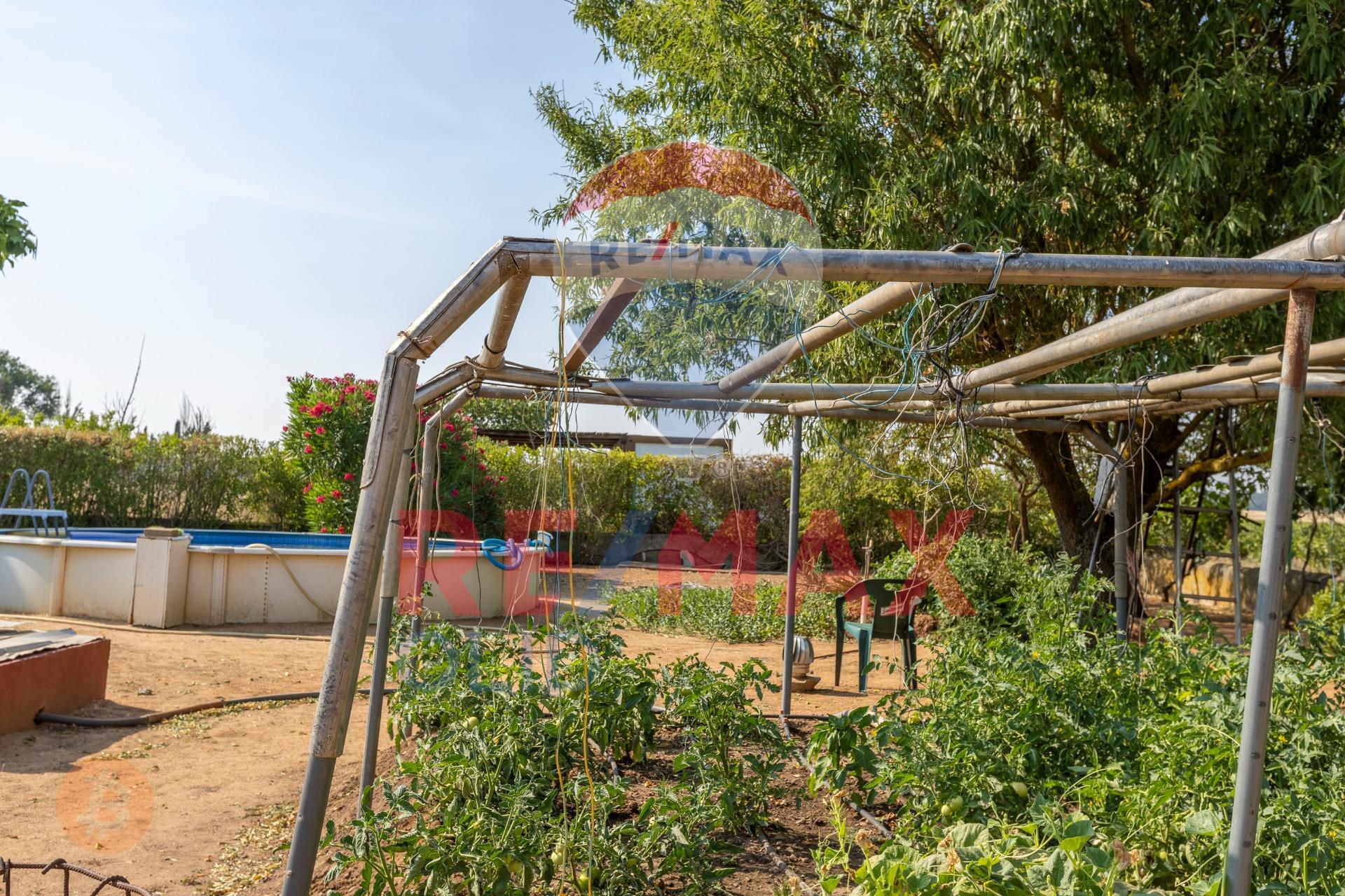 ¿TE IMAGINAS CAMBIAR TU VIDA (Y PODER FINANCIARLA) EN TRIGUEROS DEL VALLE? ¡TU PARAÍSO PRIVADO TE ESPERA!