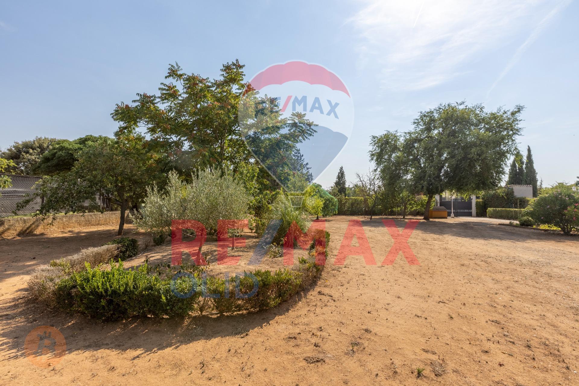 ¿TE IMAGINAS CAMBIAR TU VIDA (Y PODER FINANCIARLA) EN TRIGUEROS DEL VALLE? ¡TU PARAÍSO PRIVADO TE ESPERA!