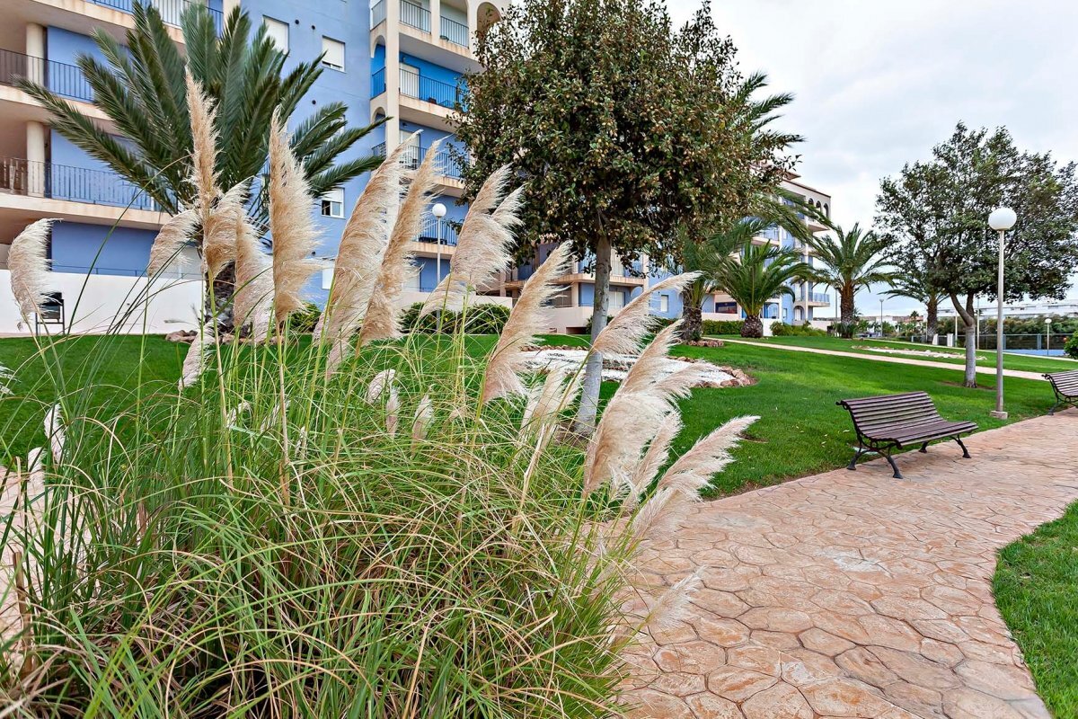 Pisos-Venta-El Ejido-1992802-Foto-22