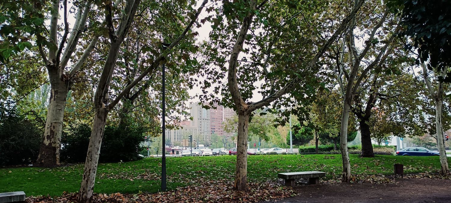 Propiedad en alquiler en Valladolid, Valladolid