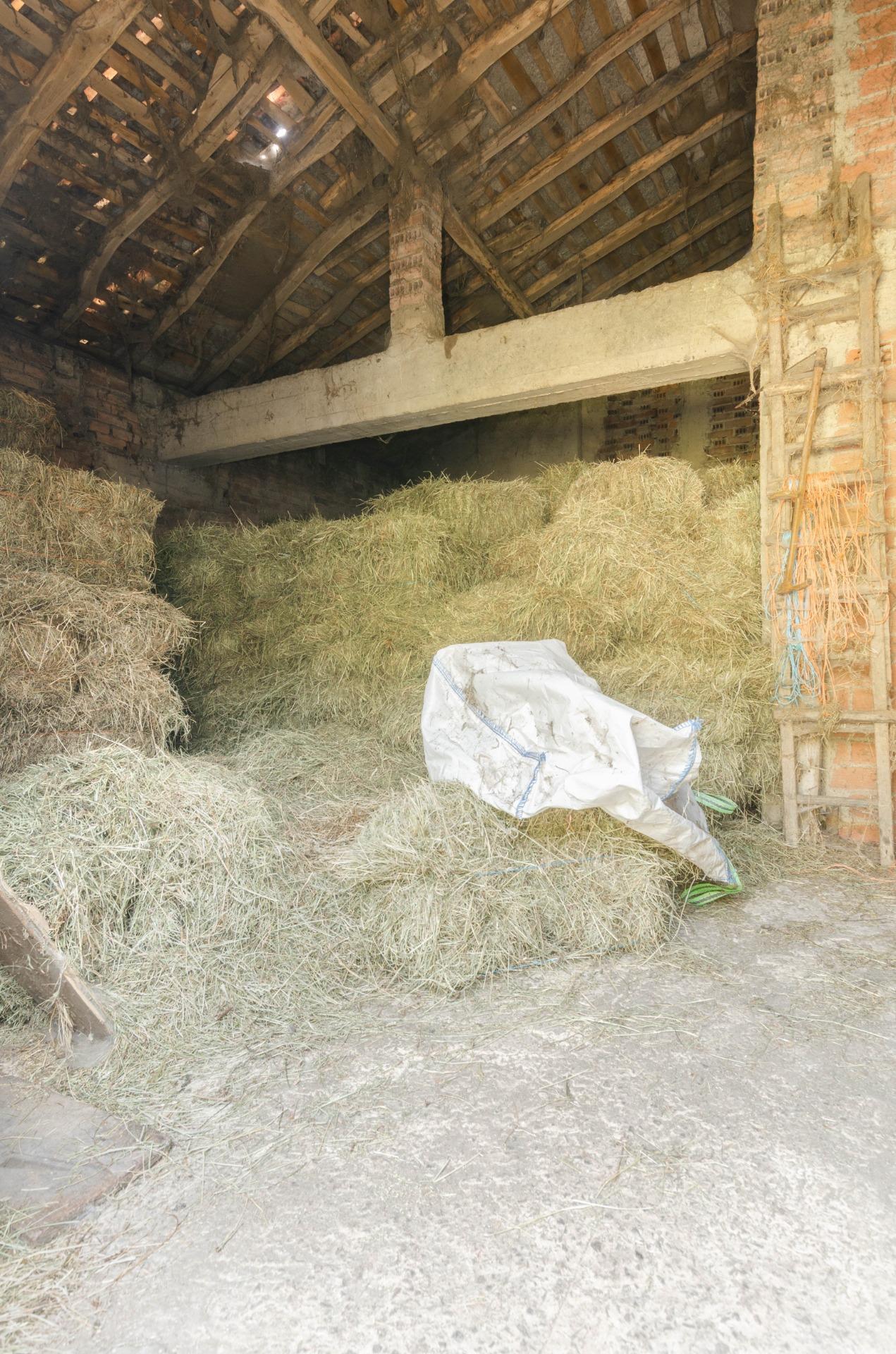 Venta de Casa En Riosa