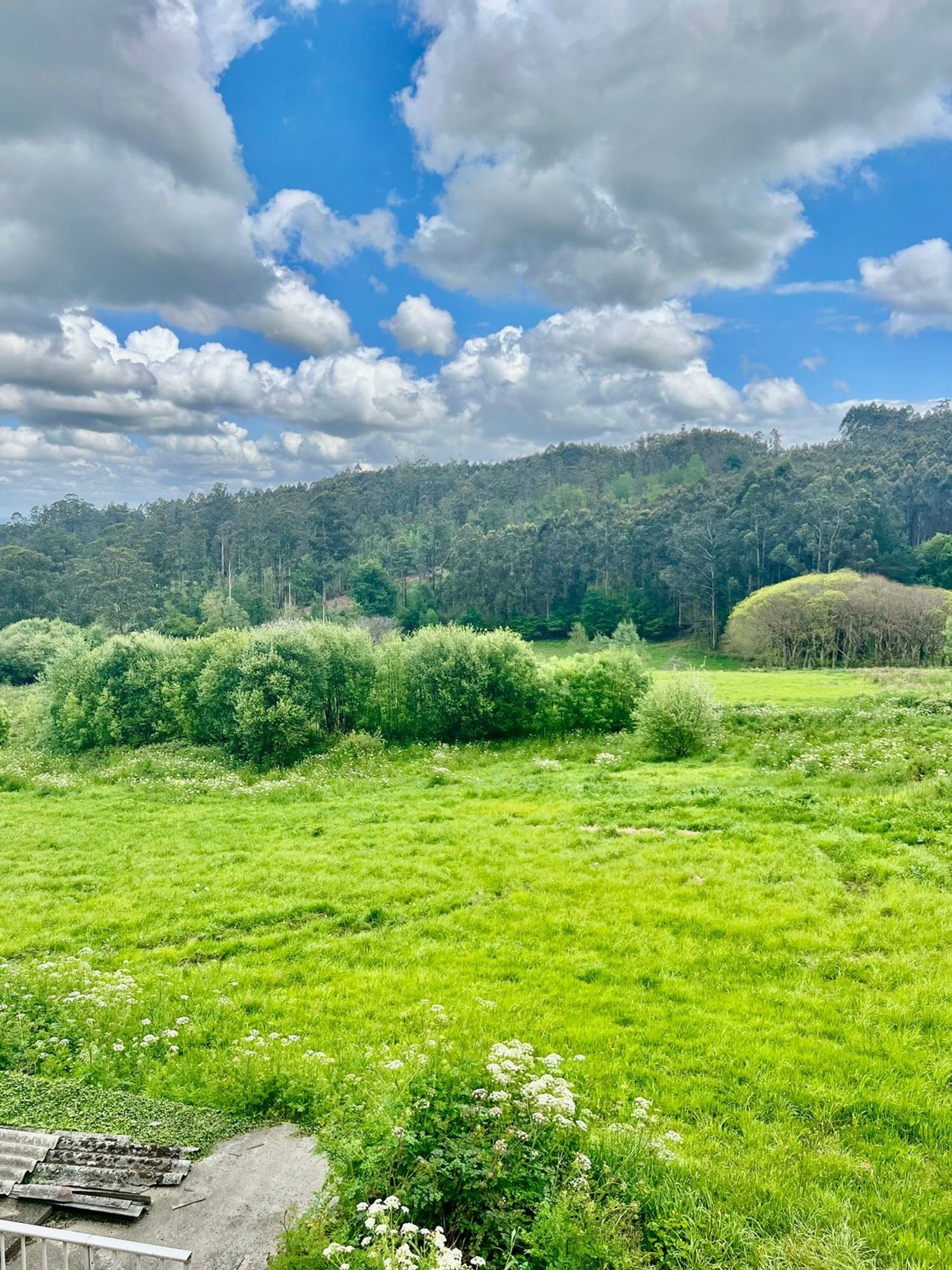 Propiedad en venta en A Coruña, Abegondo