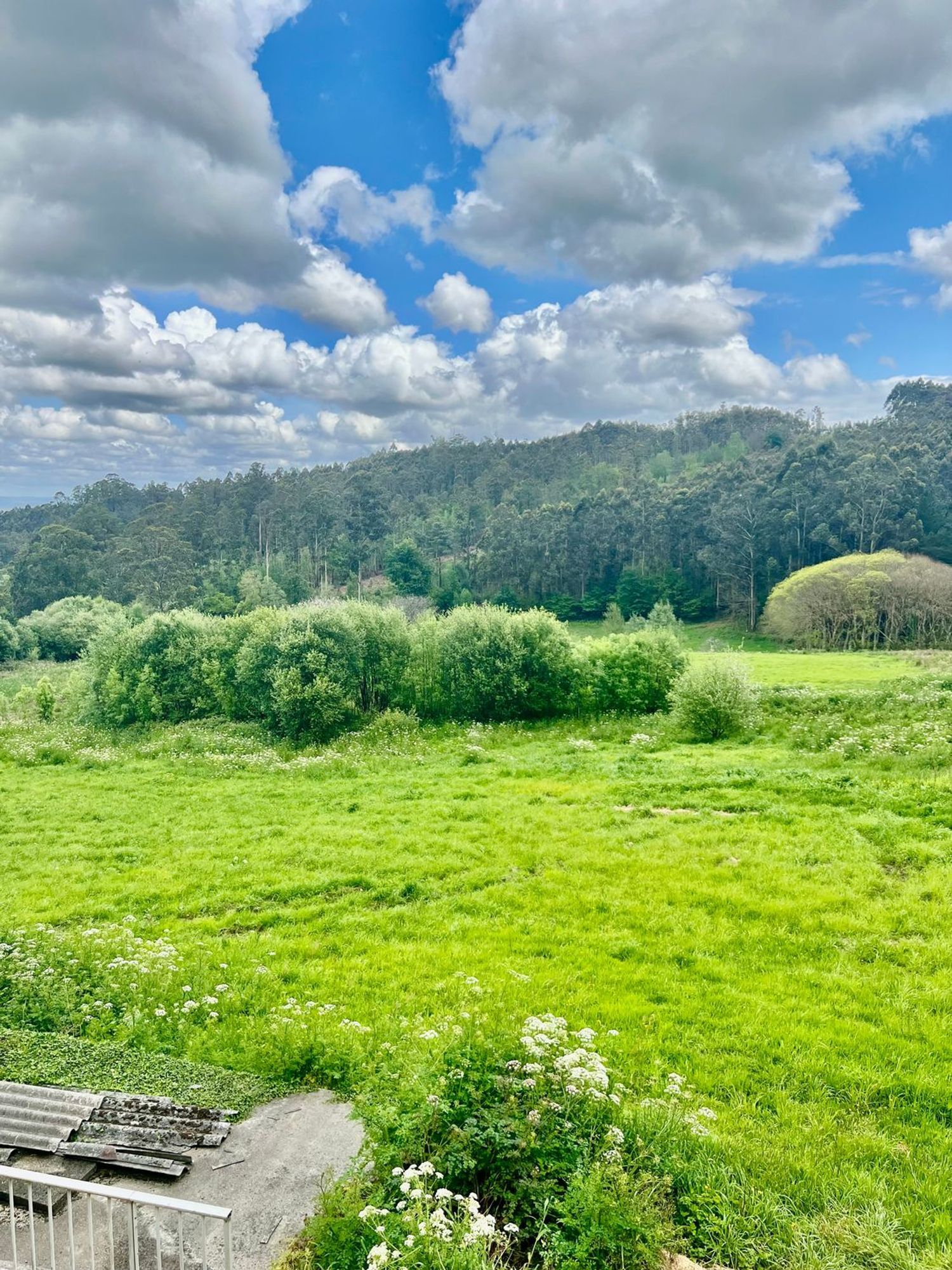 Propiedad en venta en A Coruña, Abegondo
