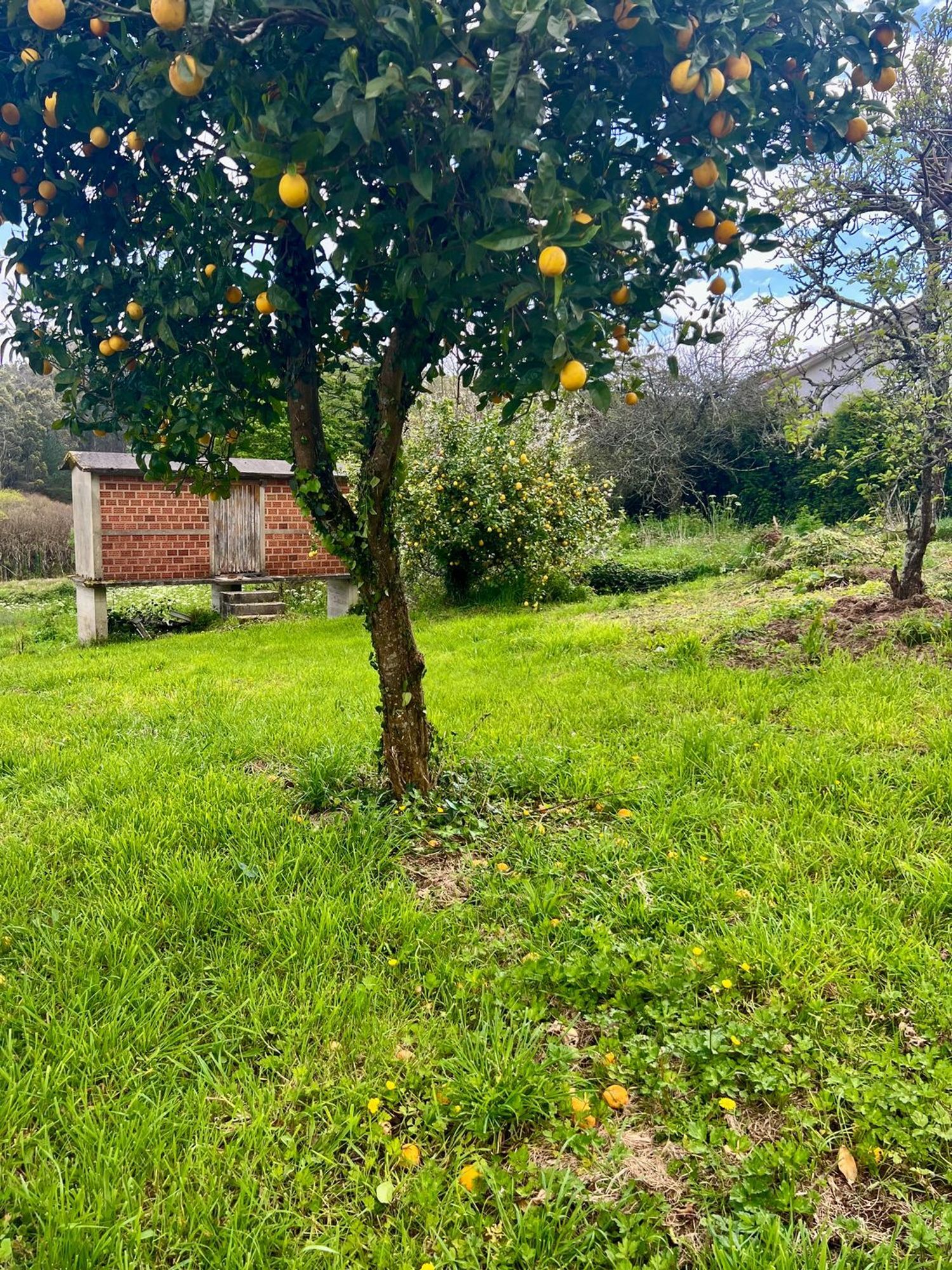 Propiedad en venta en A Coruña, Abegondo