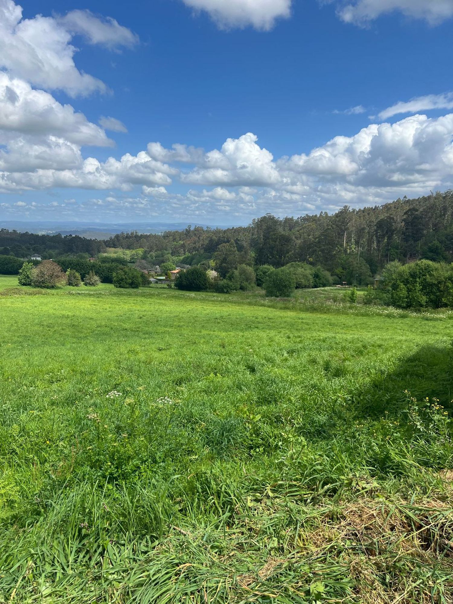 Propiedad en venta en A Coruña, Abegondo