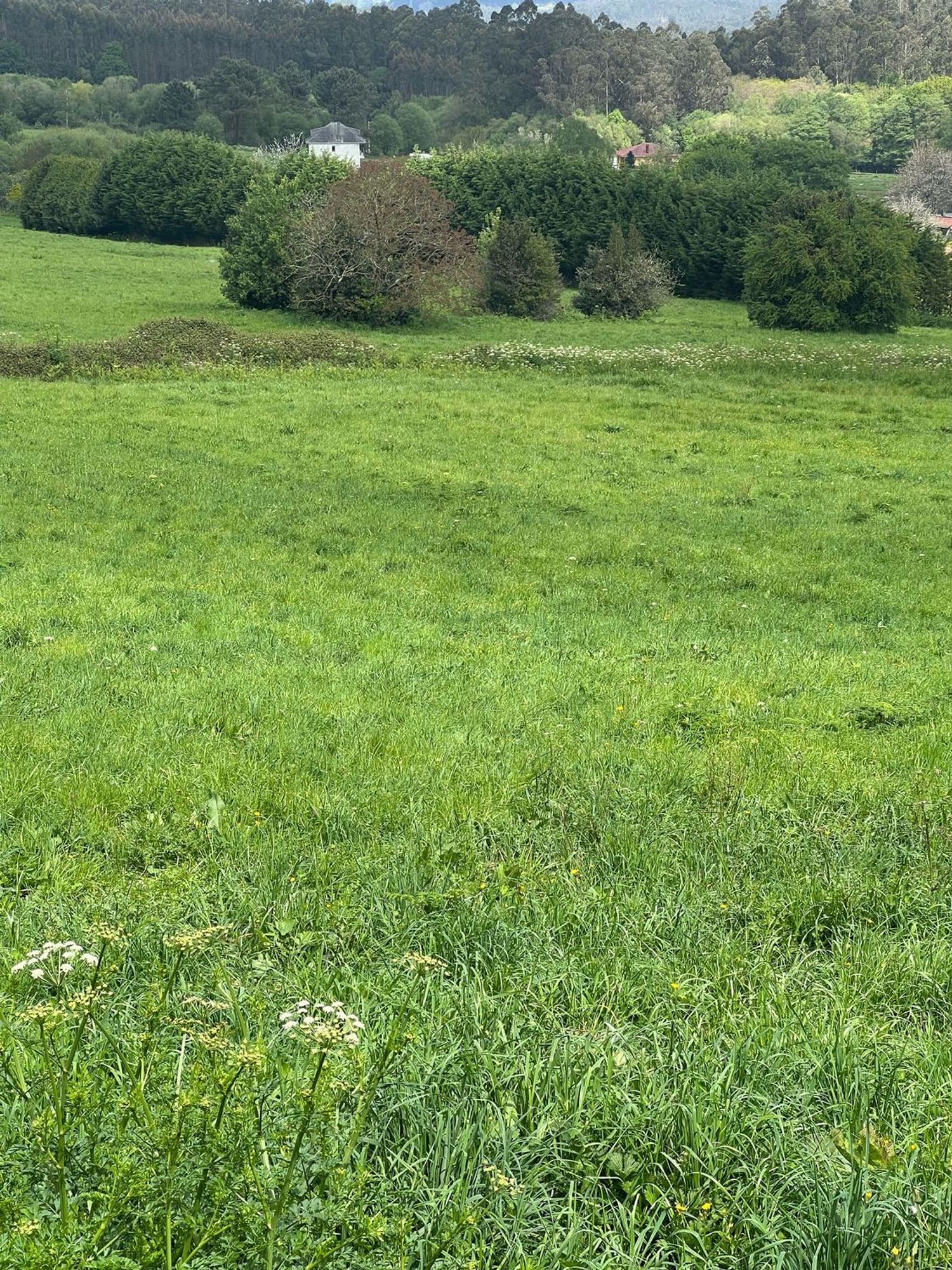 Propiedad en venta en A Coruña, Abegondo