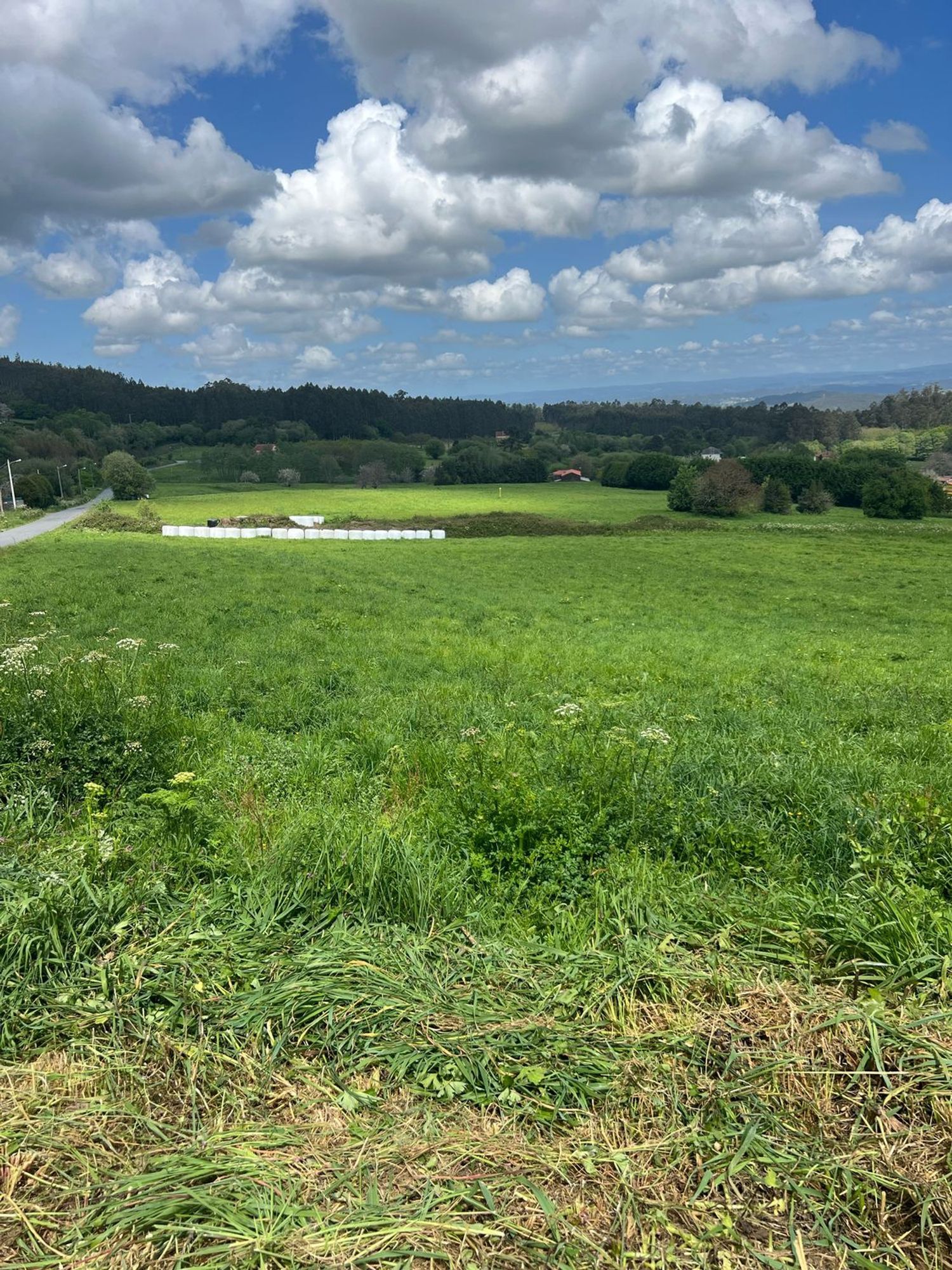 Propiedad en venta en A Coruña, Abegondo