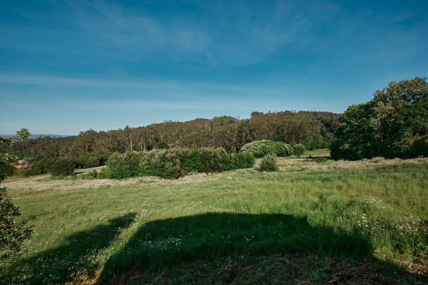 Propiedad en venta en A Coruña, Abegondo