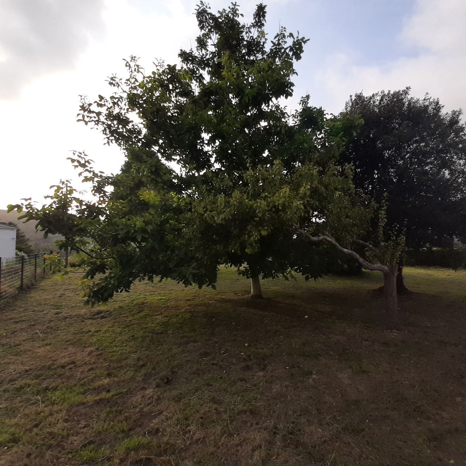 Propiedad en venta en A Coruña, Mañon