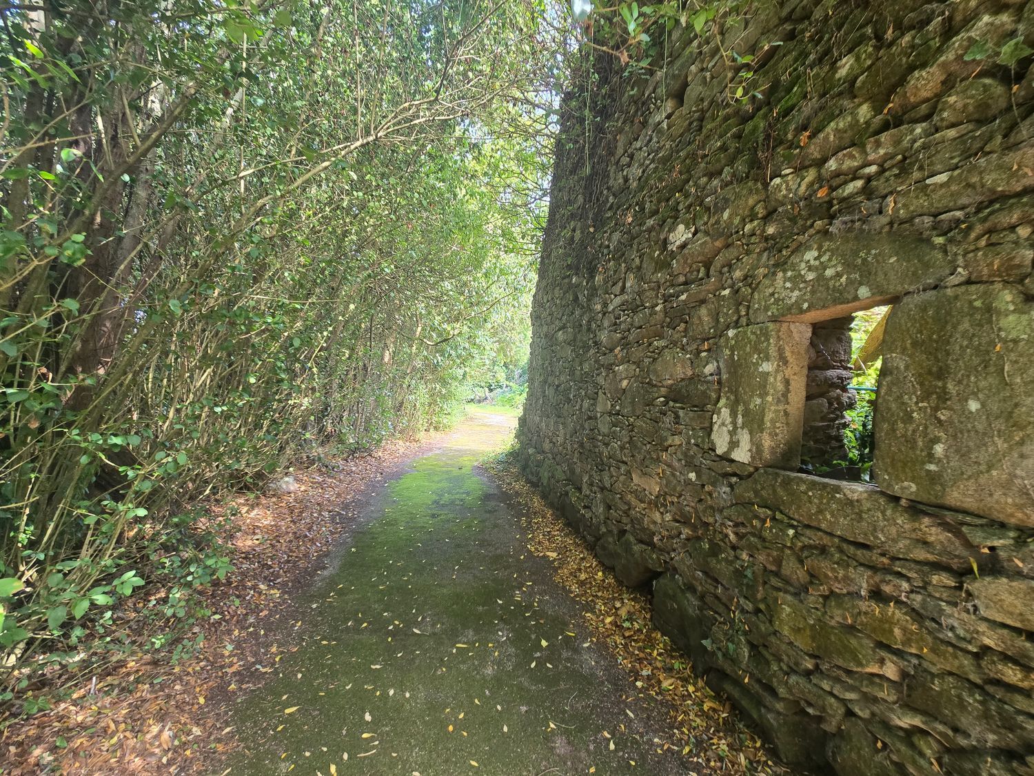 Propiedad en venta en Lugo, Viveiro