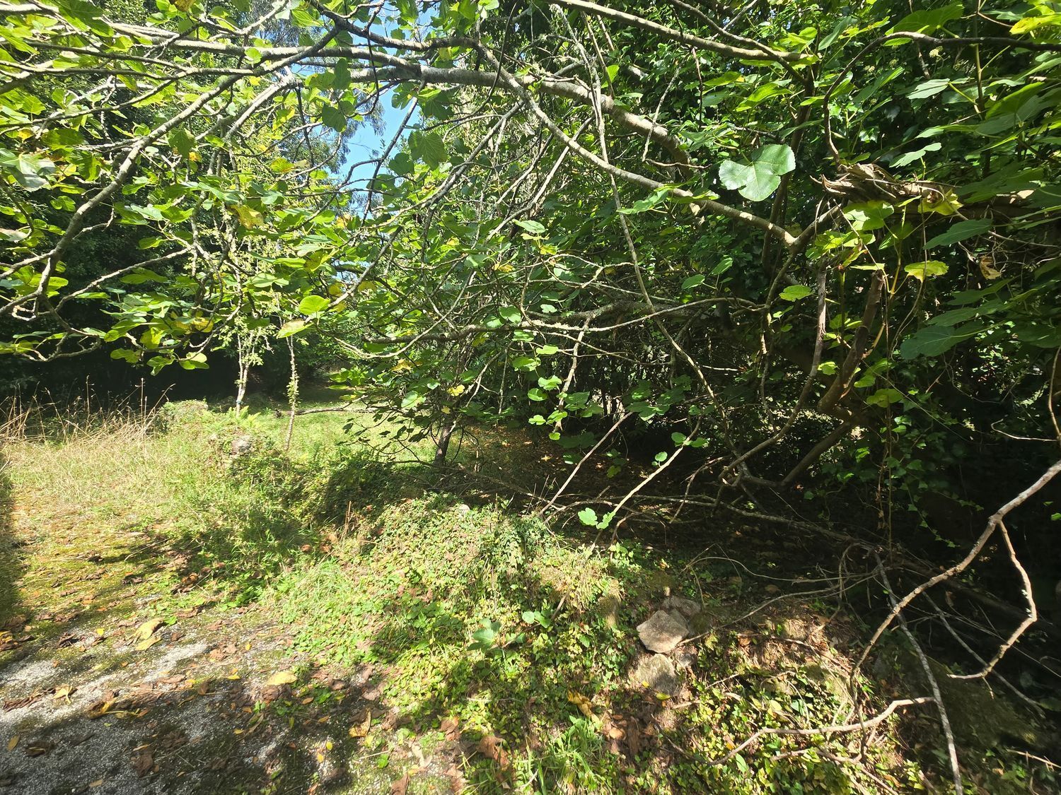 Propiedad en venta en Lugo, Viveiro