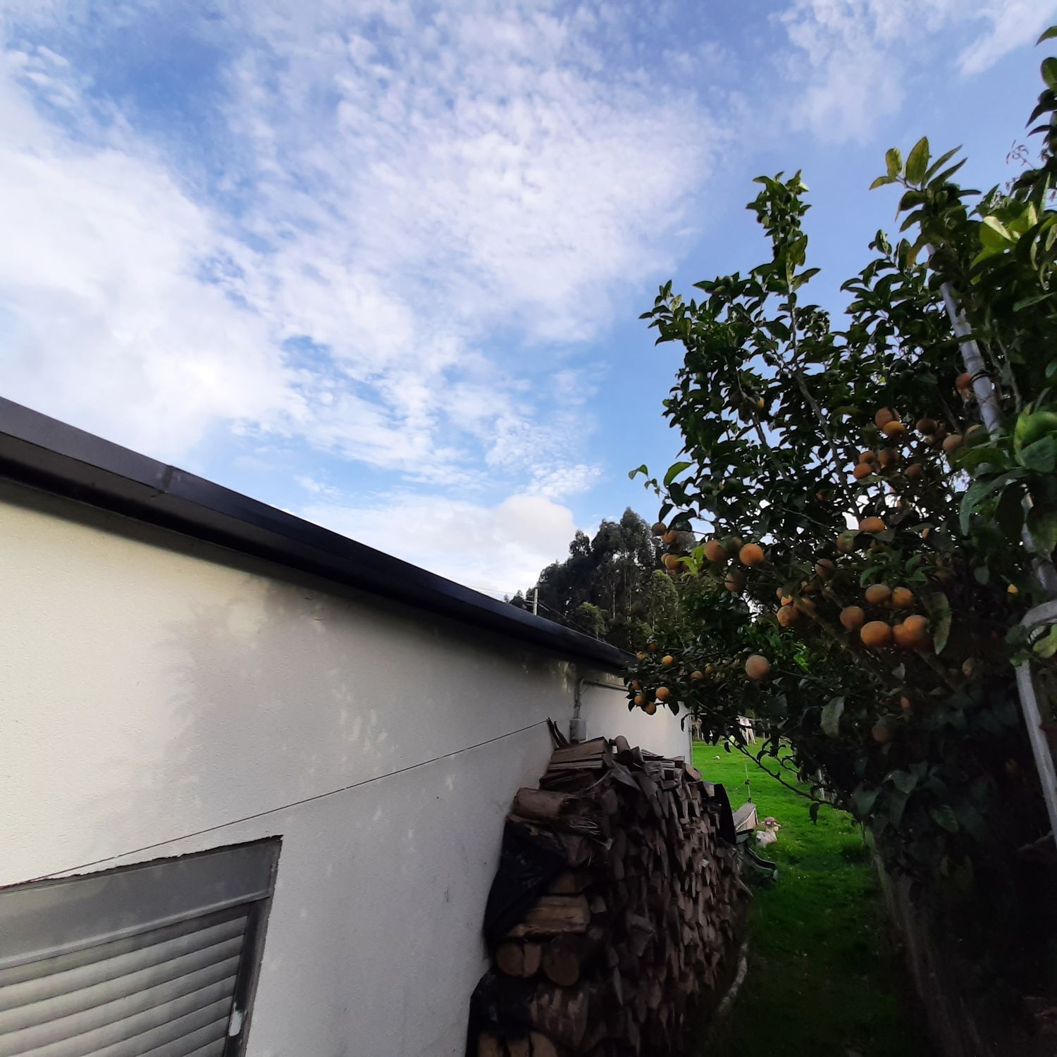 Propiedad en venta en A Coruña, Mañon