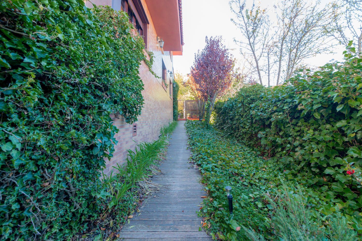 Casas o chalets-Venta-Torrelodones-1995174-Foto-42