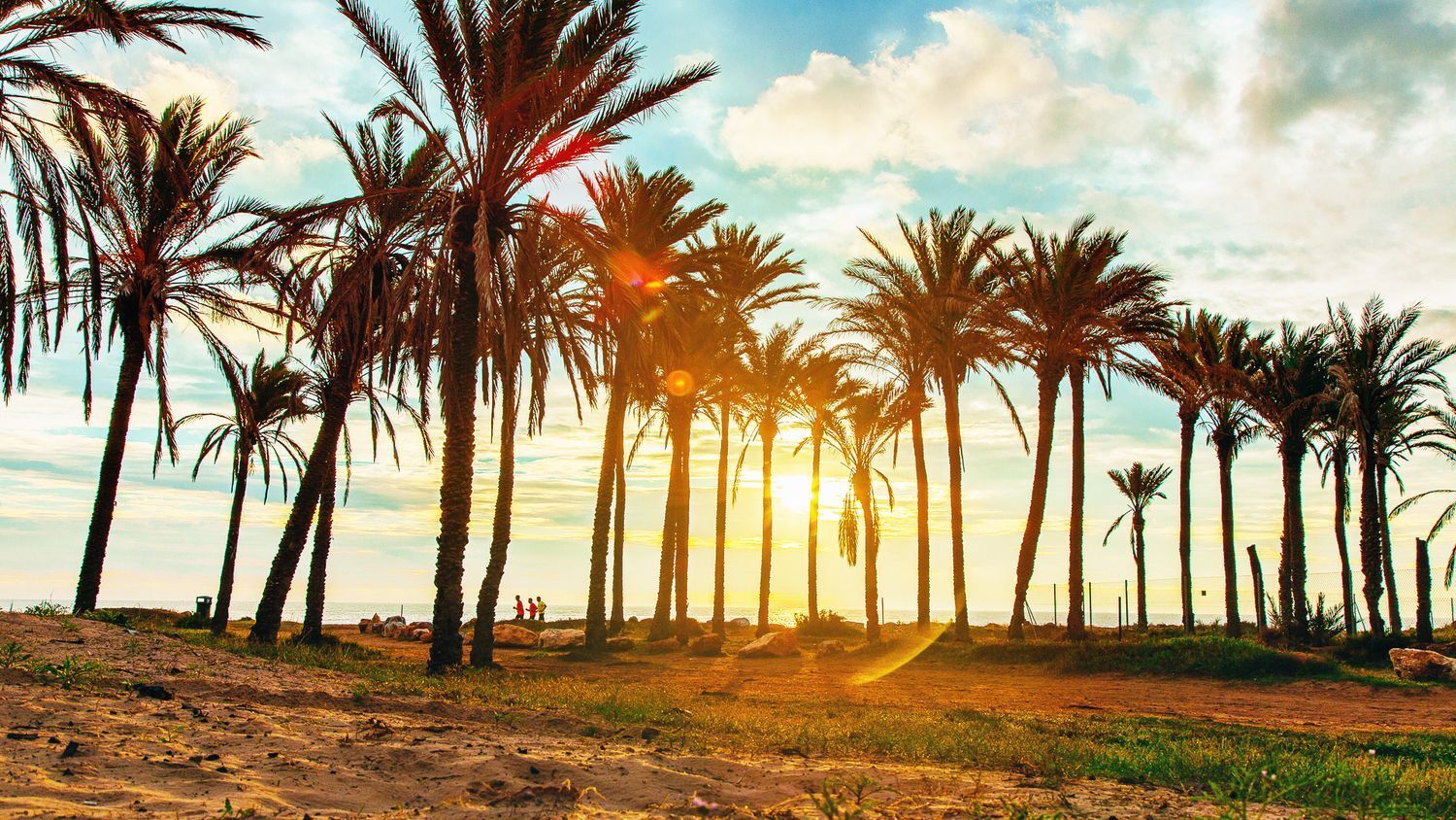 Propiedad en venta en Alicante, Torrevieja