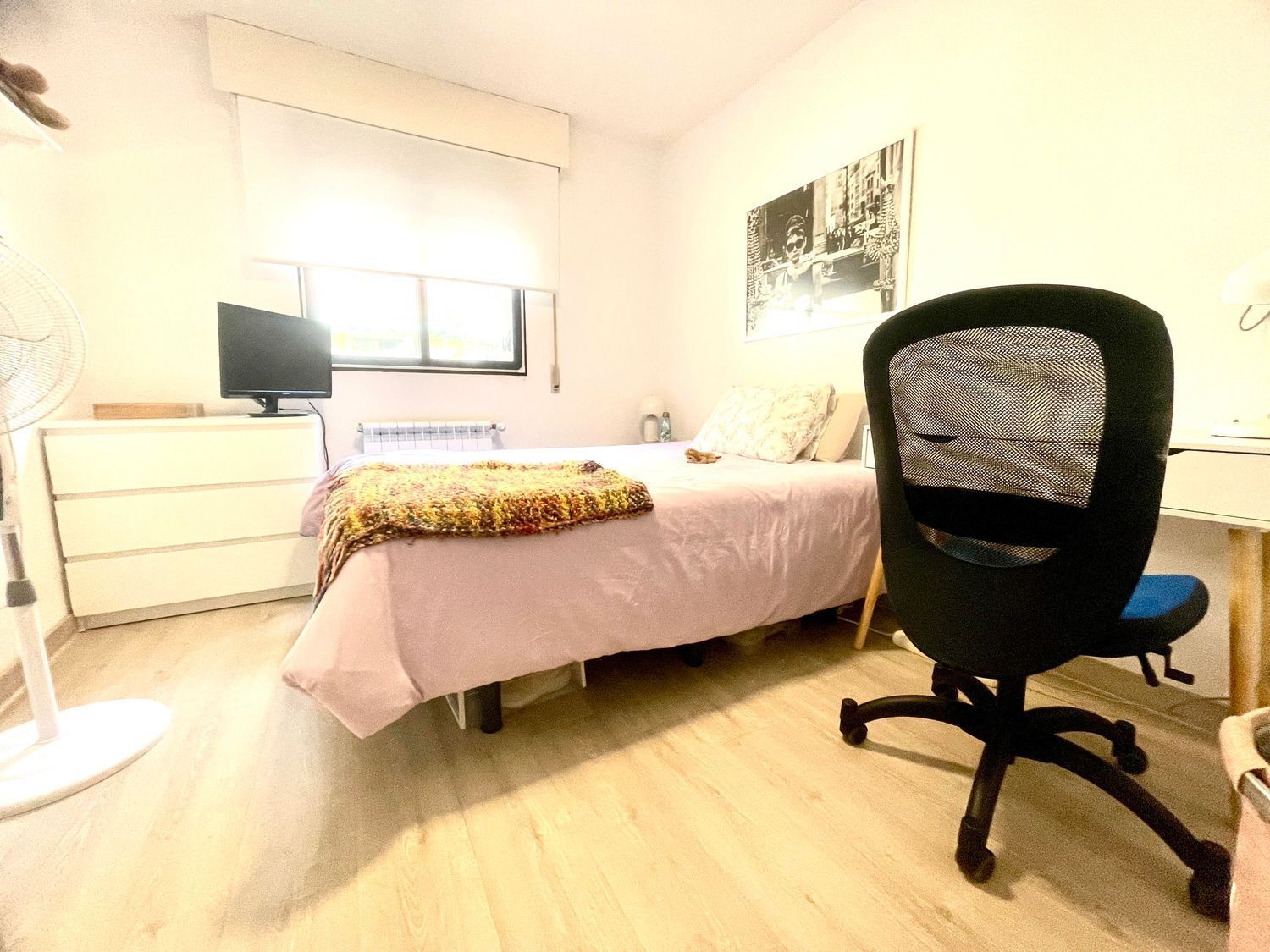 Pisos-Alquiler-Madrid-1992847-Foto-9