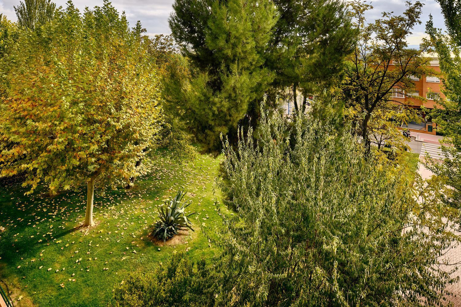 Propiedad en venta en Madrid, Torrejón de Ardoz