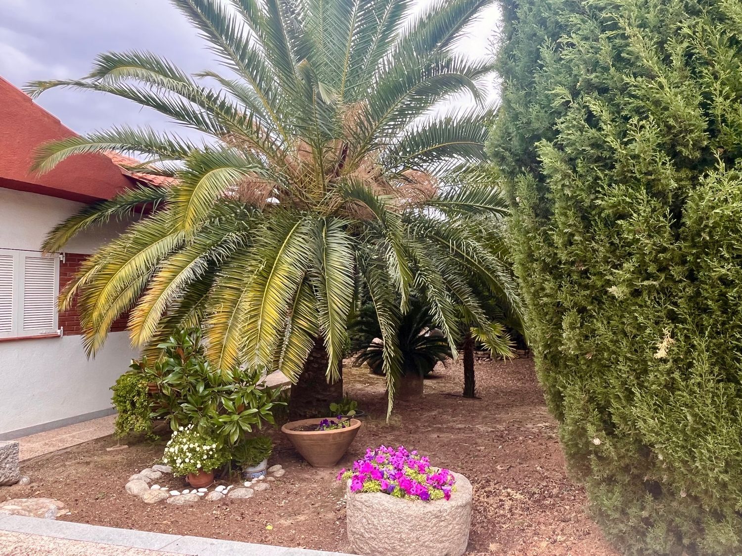 Propiedad en venta en Toledo, Argés