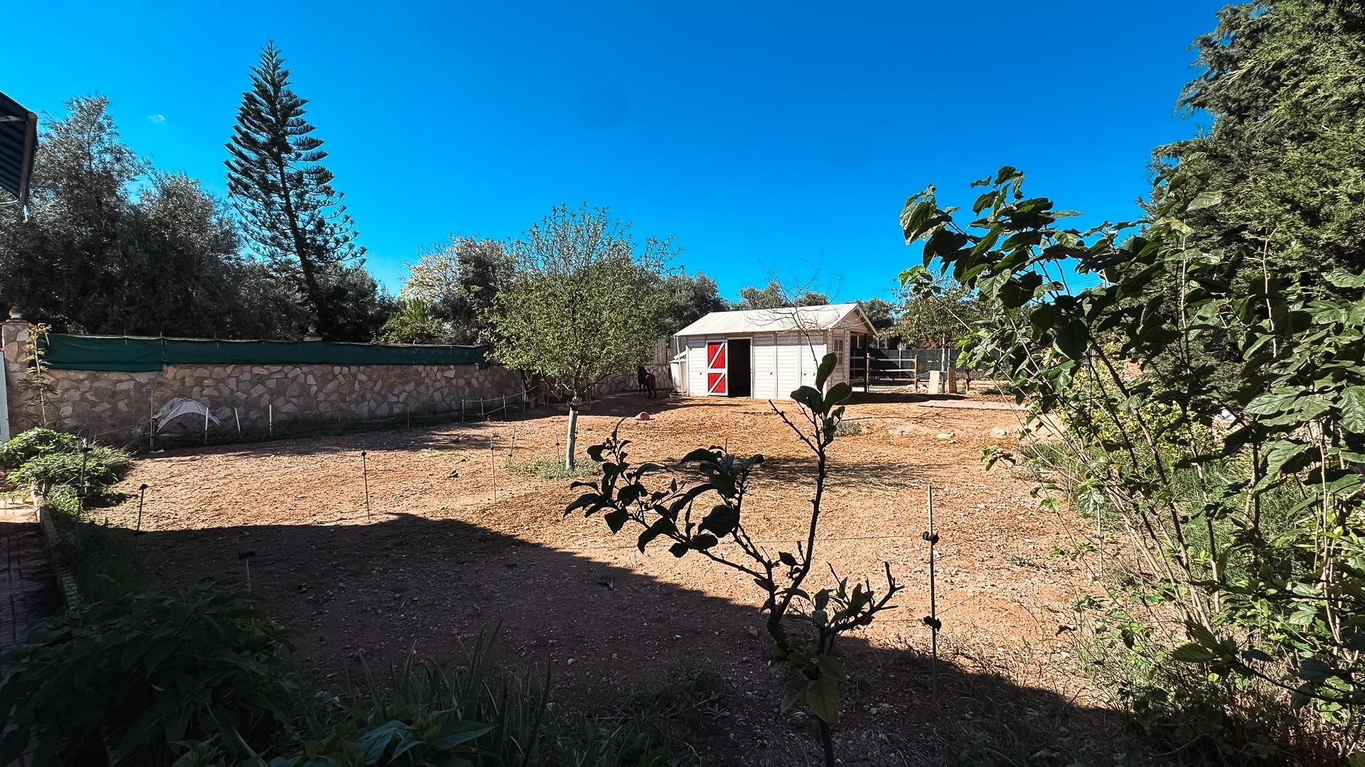 Chalet Espacioso en San Vicente del Raspeig - Oportunidad Única