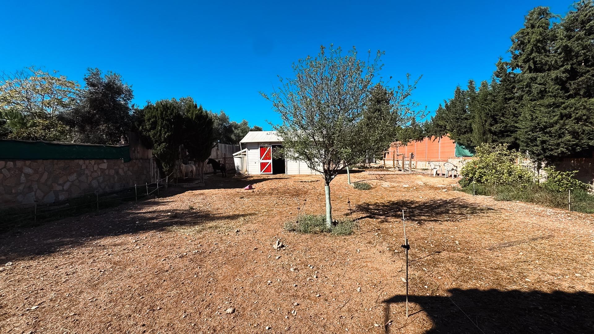 Chalet Espacioso en San Vicente del Raspeig - Oportunidad Única