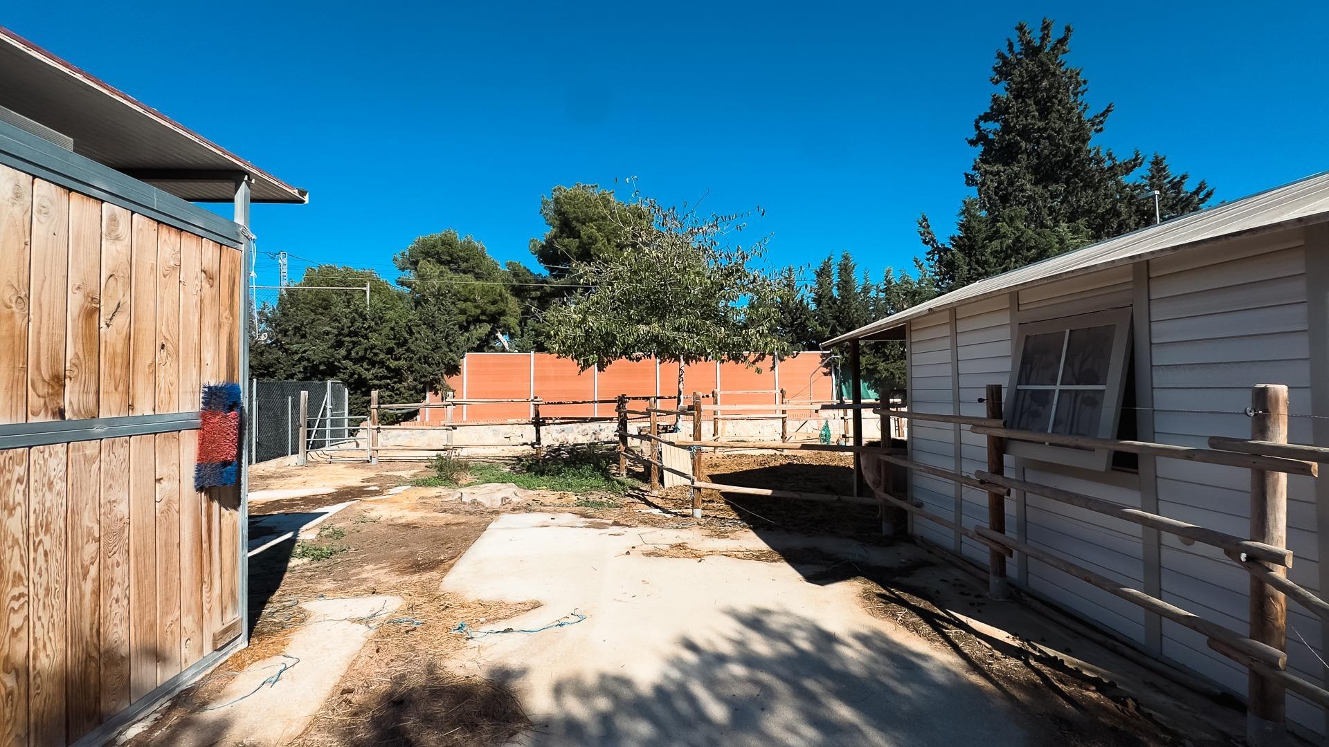 Chalet Espacioso en San Vicente del Raspeig - Oportunidad Única