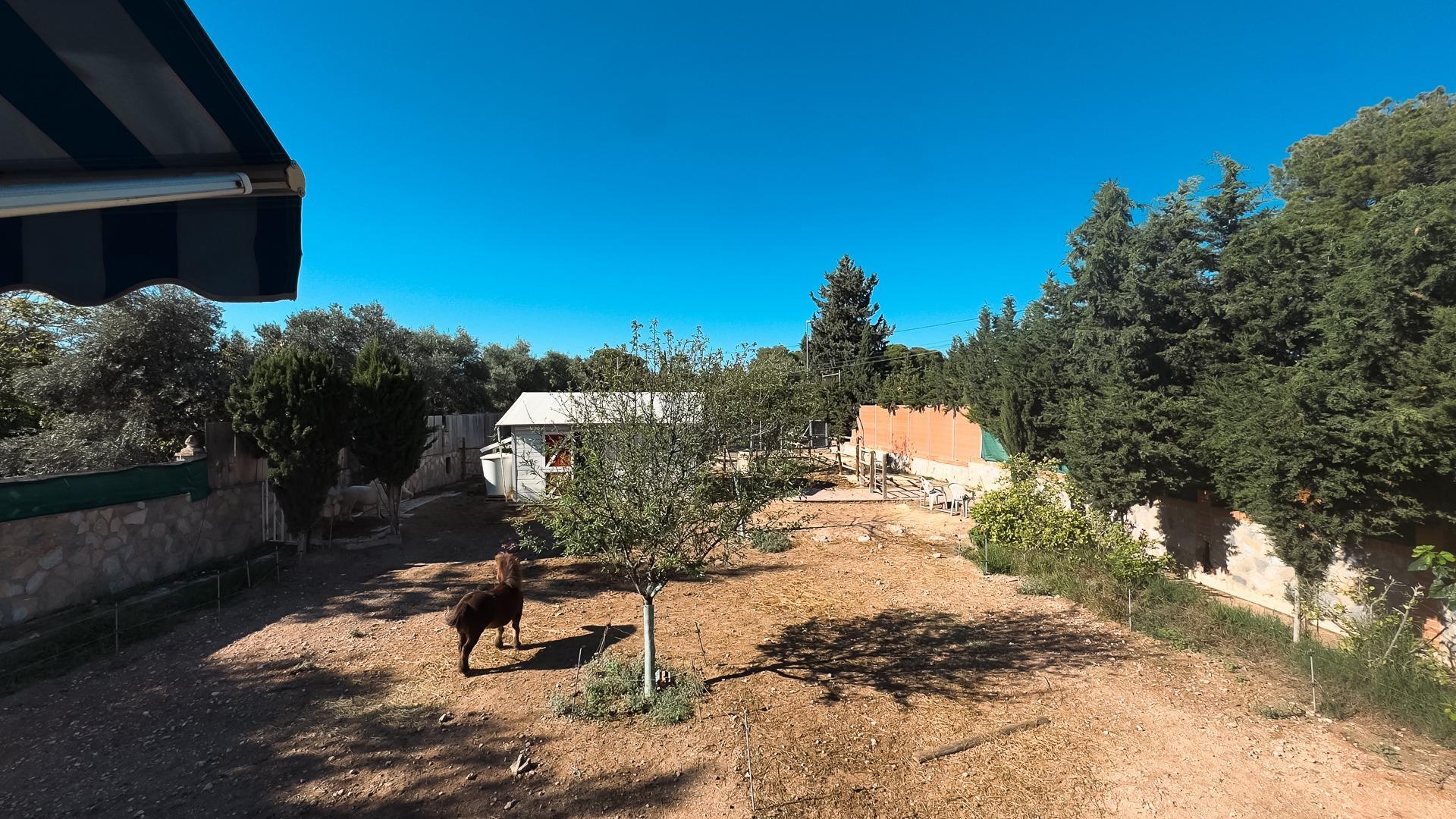 Chalet Espacioso en San Vicente del Raspeig - Oportunidad Única