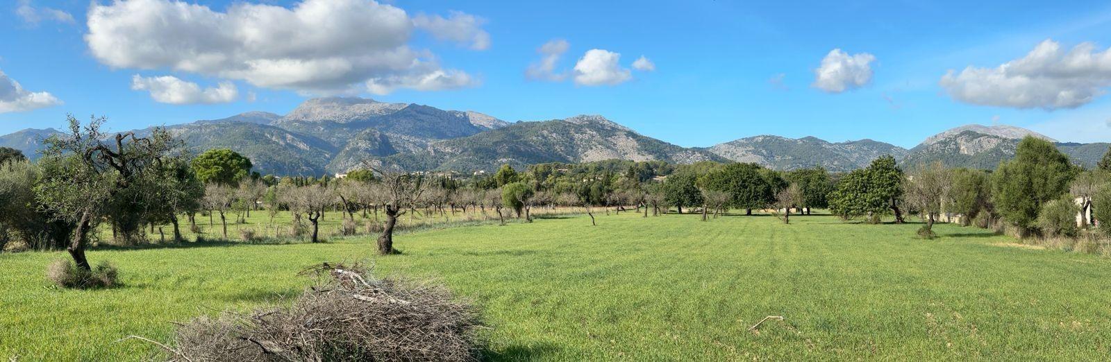 Terreno con Proyecto y Licencia de Obra frente a la Sierra Tramuntana en Selva.
