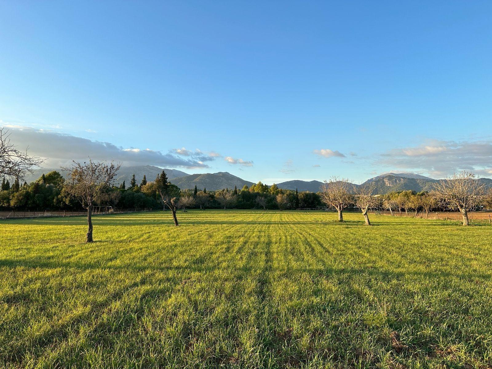 Terreno con Proyecto y Licencia de Obra frente a la Sierra Tramuntana en Selva.