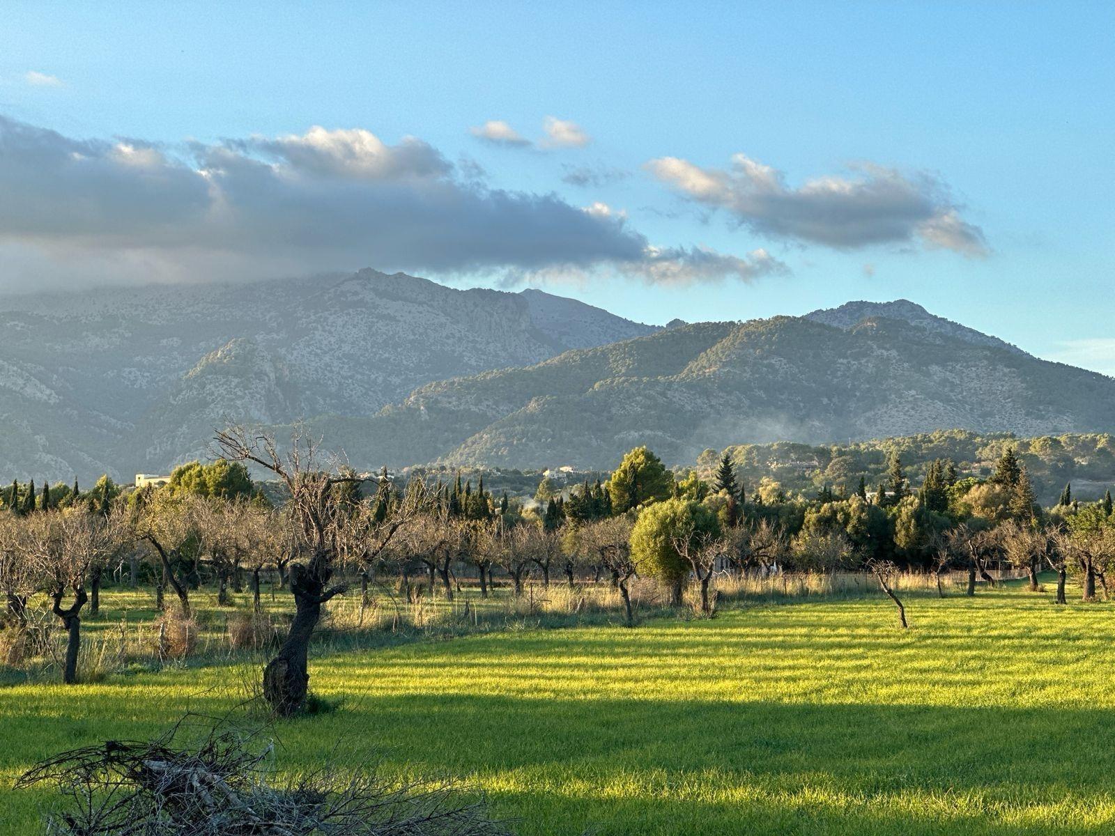 Terreno con Proyecto y Licencia de Obra frente a la Sierra Tramuntana en Selva.