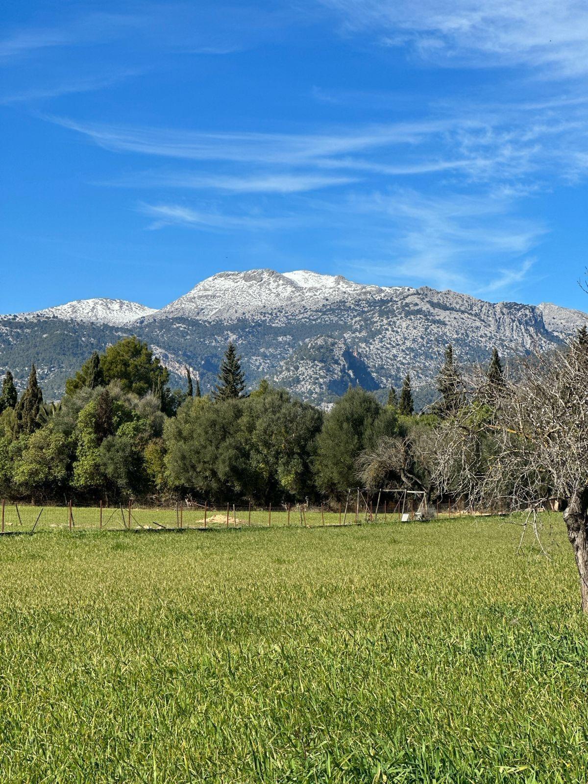 Terreno con Proyecto y Licencia de Obra frente a la Sierra Tramuntana en Selva.