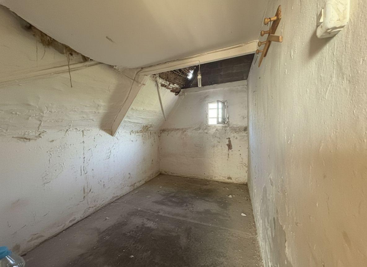 OPORTUNIDAD ÚNICA: VENTA DE DOS BARRACAS HISTÓRICAS EN LES PALMERETES, SUECA.