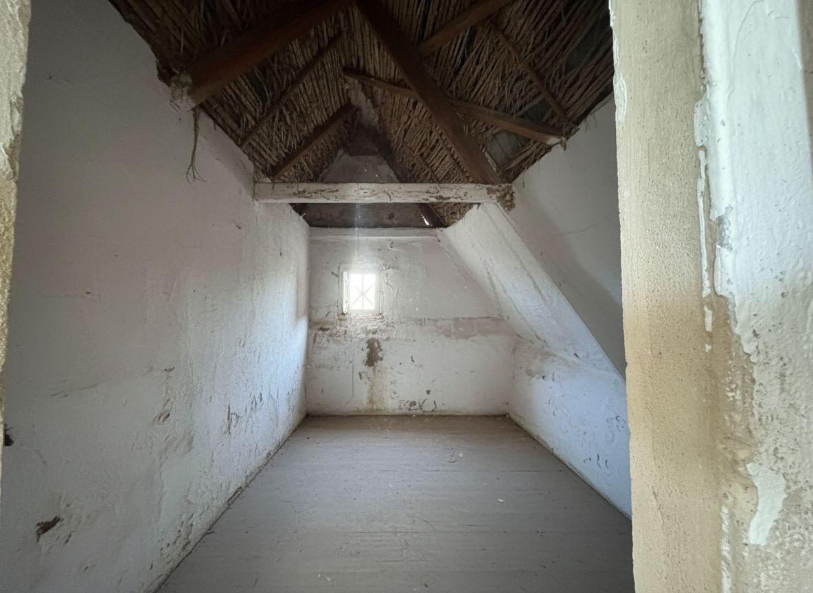 OPORTUNIDAD ÚNICA: VENTA DE DOS BARRACAS HISTÓRICAS EN LES PALMERETES, SUECA.