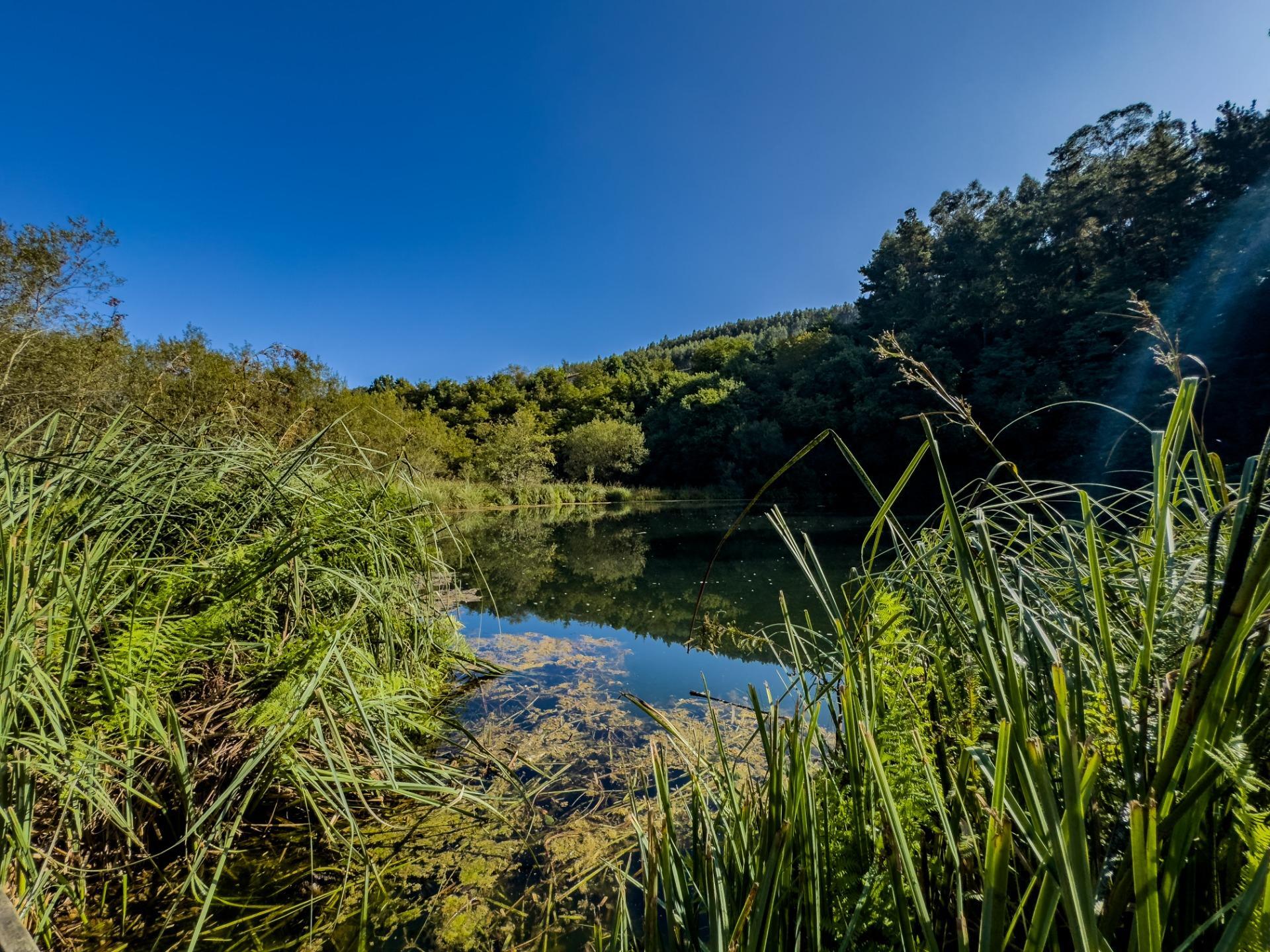 Casa rural de piedra con jardín y vistas abiertas, perfecta para vivir o invertir