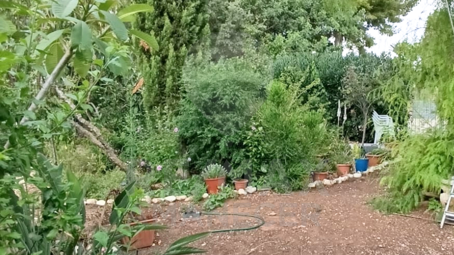 Casas o chalets-Venta-Els Poblets-1842732-Foto-18