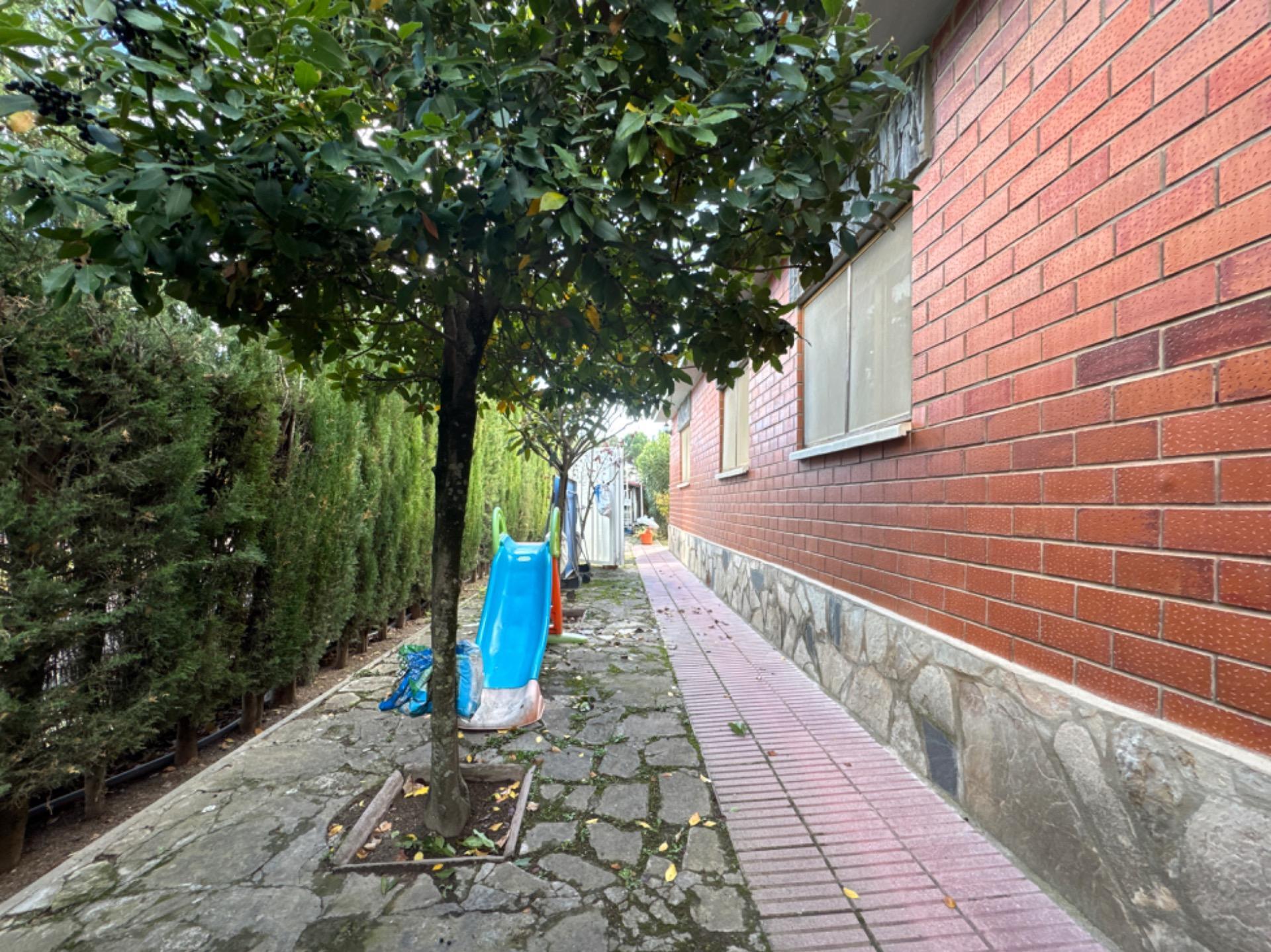 Casas o chalets-Venta-La Muela-2016814-Foto-97